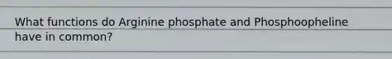 What functions do Arginine phosphate and Phosphoopheline have in common?