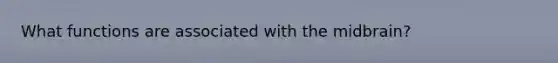 What functions are associated with the midbrain?