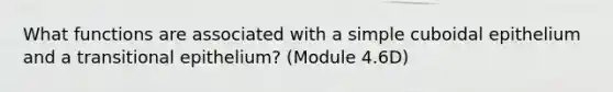 What functions are associated with a simple cuboidal epithelium and a transitional epithelium? (Module 4.6D)