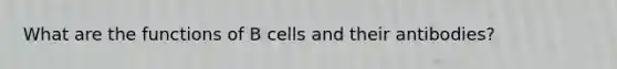 What are the functions of B cells and their antibodies?