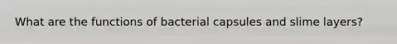 What are the functions of bacterial capsules and slime layers?