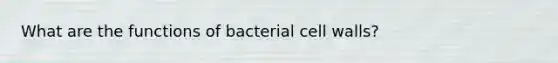 What are the functions of bacterial cell walls?