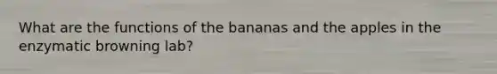 What are the functions of the bananas and the apples in the enzymatic browning lab?