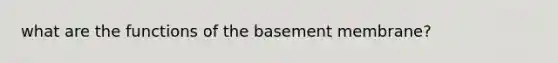 what are the functions of the basement membrane?