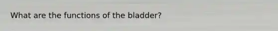 What are the functions of the bladder?