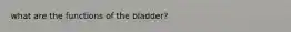 what are the functions of the bladder?