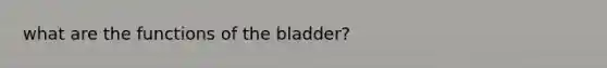 what are the functions of the bladder?