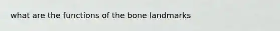 what are the functions of the bone landmarks