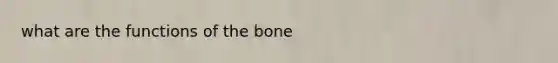 what are the functions of the bone