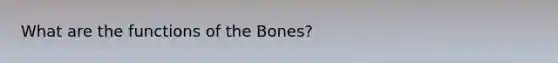 What are the functions of the Bones?