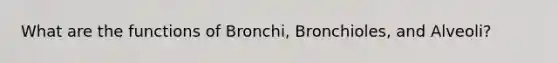 What are the functions of Bronchi, Bronchioles, and Alveoli?