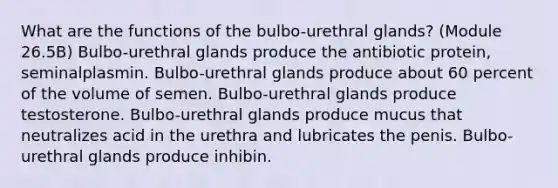 What are the functions of the bulbo-urethral glands? (Module 26.5B) Bulbo-urethral glands produce the antibiotic protein, seminalplasmin. Bulbo-urethral glands produce about 60 percent of the volume of semen. Bulbo-urethral glands produce testosterone. Bulbo-urethral glands produce mucus that neutralizes acid in the urethra and lubricates the penis. Bulbo-urethral glands produce inhibin.