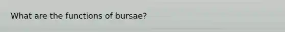 What are the functions of bursae?