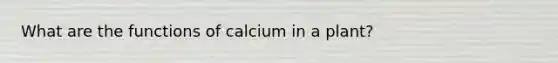 What are the functions of calcium in a plant?