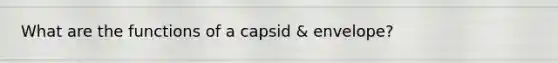 What are the functions of a capsid & envelope?