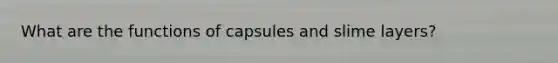 What are the functions of capsules and slime layers?