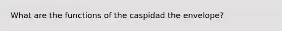 What are the functions of the caspidad the envelope?