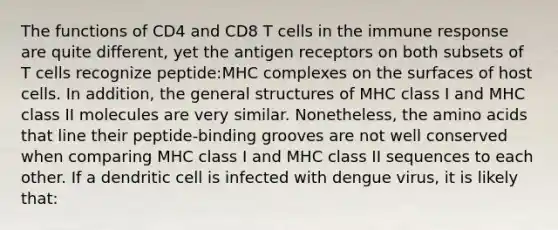 The functions of CD4 and CD8 T cells in the immune response are quite different, yet the antigen receptors on both subsets of T cells recognize peptide:MHC complexes on the surfaces of host cells. In addition, the general structures of MHC class I and MHC class II molecules are very similar. Nonetheless, the amino acids that line their peptide-binding grooves are not well conserved when comparing MHC class I and MHC class II sequences to each other. If a dendritic cell is infected with dengue virus, it is likely that: