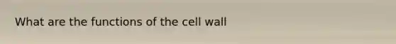 What are the functions of the cell wall