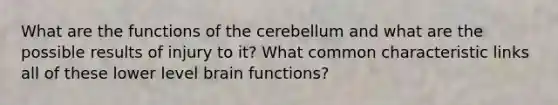 What are the functions of the cerebellum and what are the possible results of injury to it? What common characteristic links all of these lower level brain functions?