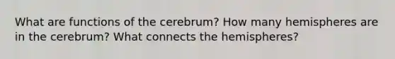 What are functions of the cerebrum? How many hemispheres are in the cerebrum? What connects the hemispheres?