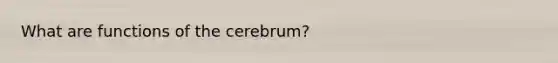 What are functions of the cerebrum?