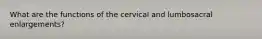 What are the functions of the cervical and lumbosacral enlargements?