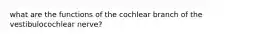 what are the functions of the cochlear branch of the vestibulocochlear nerve?