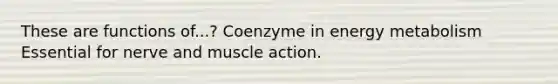 These are functions of...? Coenzyme in energy metabolism Essential for nerve and muscle action.