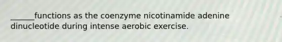 ______functions as the coenzyme nicotinamide adenine dinucleotide during intense aerobic exercise.