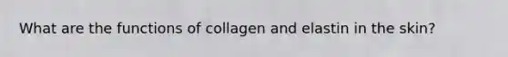 What are the functions of collagen and elastin in the skin?