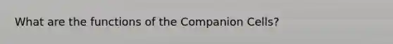 What are the functions of the Companion Cells?