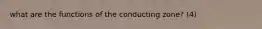 what are the functions of the conducting zone? (4)