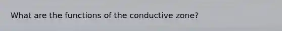 What are the functions of the conductive zone?