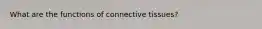 What are the functions of connective tissues?
