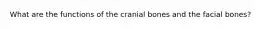 What are the functions of the cranial bones and the facial bones?