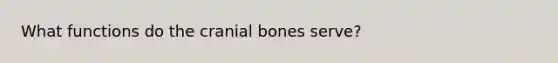 What functions do the cranial bones serve?