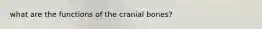 what are the functions of the cranial bones?