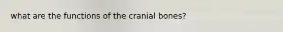 what are the functions of the cranial bones?