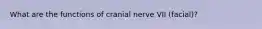 What are the functions of cranial nerve VII (facial)?