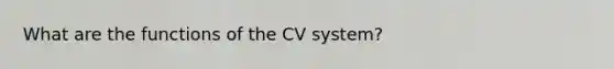 What are the functions of the CV system?