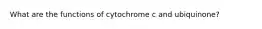 What are the functions of cytochrome c and ubiquinone?