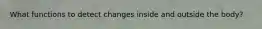 What functions to detect changes inside and outside the body?