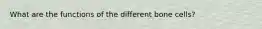 What are the functions of the different bone cells?