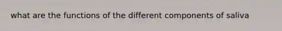 what are the functions of the different components of saliva