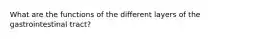 What are the functions of the different layers of the gastrointestinal tract?