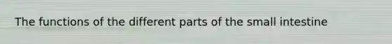 The functions of the different parts of the small intestine