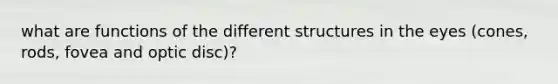 what are functions of the different structures in the eyes (cones, rods, fovea and optic disc)?