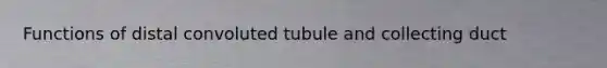 Functions of distal convoluted tubule and collecting duct