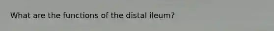 What are the functions of the distal ileum?